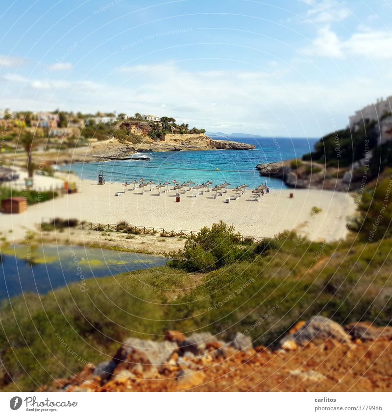 Mallorca | small beach .... empty ! Spain Balearic Islands Majorca coast Bay Beach Empty corona Travel warning infection figures Quarantine Vacation & Travel