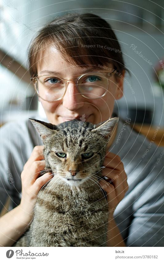 Young woman, with glasses, fawns her tiger cat. Tiger skin pattern Cat Animal Pet Pelt Domestic cat Tabby cat Looking Brown Love of animals hangover Forward