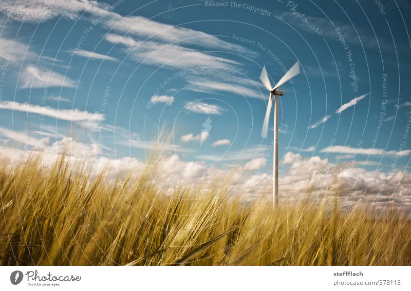 Wind turbine in a grain field Grain Energy industry Renewable energy Wind energy plant Environment Nature Landscape Air Sky Horizon Sun Summer Gale Grass Field