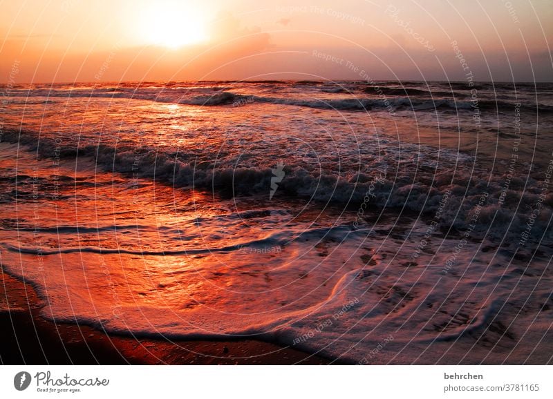 hope and strength Water To enjoy Beautiful weather Waves tortuguero Costa Rica Kitsch pretty Orange Exterior shot Colour photo Sunlight Back-light Sunset