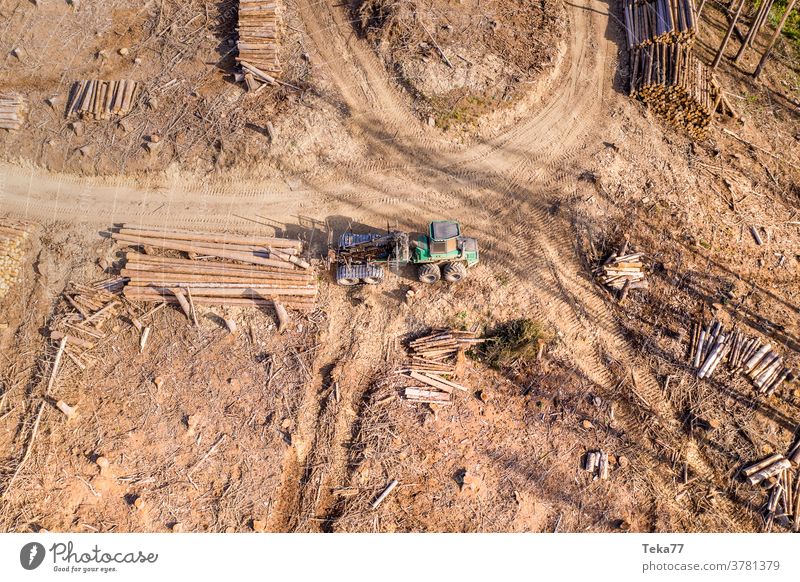 a modern forest machine in a felled forest from above forester harvester trees nature forest industries tree felling felling trees in the forest forestry