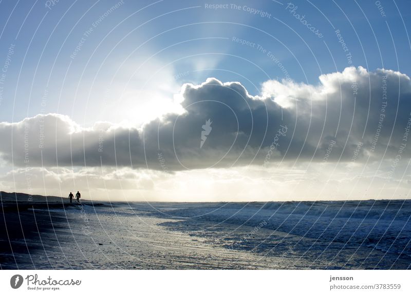 beach walk Longing Sky Clouds Sunlight Ocean seascape wide Beach Walk on the beach Loneliness silent Freedom vacation Home country North Sea Wanderlust Waves