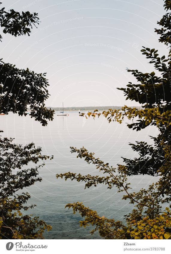 Lake Starnberg Aquatics Water reflection Reflection Sports Movement Relaxation tranquillity relaxation bathe Clouds Blue Bavaria vacation holidays voyage