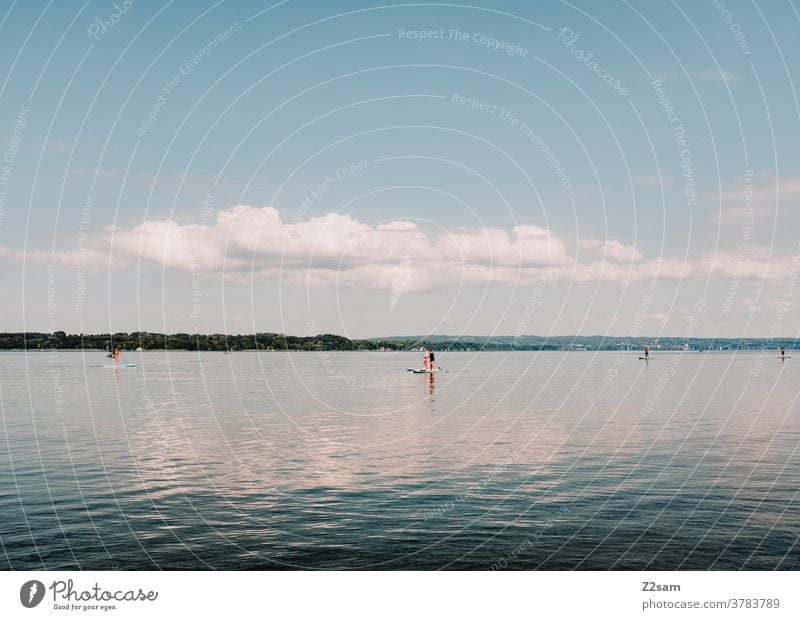 Stand-Up-Paddling at the Starnberger See stand-up paddling Aquatics Water Lake reflection Reflection Sports Movement Relaxation tranquillity relaxation bathe