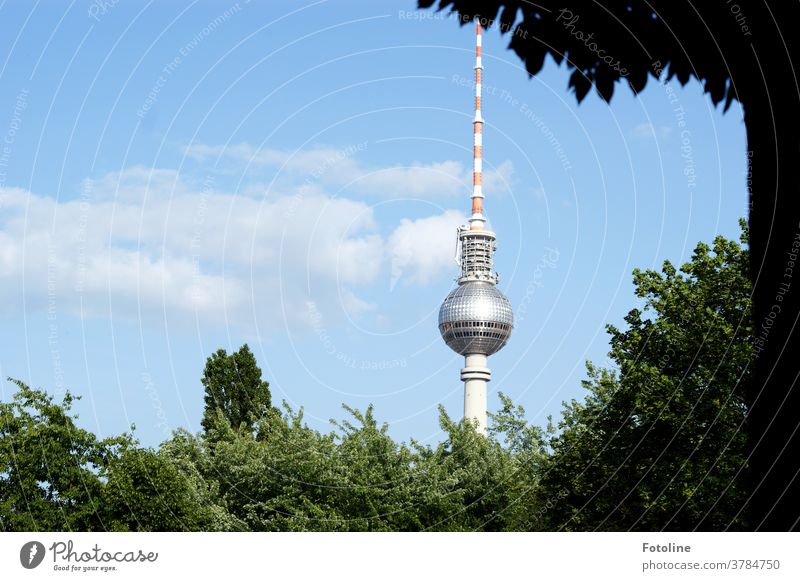 Asparagus with salad - or the Berlin TV tower towers between lots of greenery in the blue summer sky Berlin TV Tower Alexanderplatz Television tower Landmark