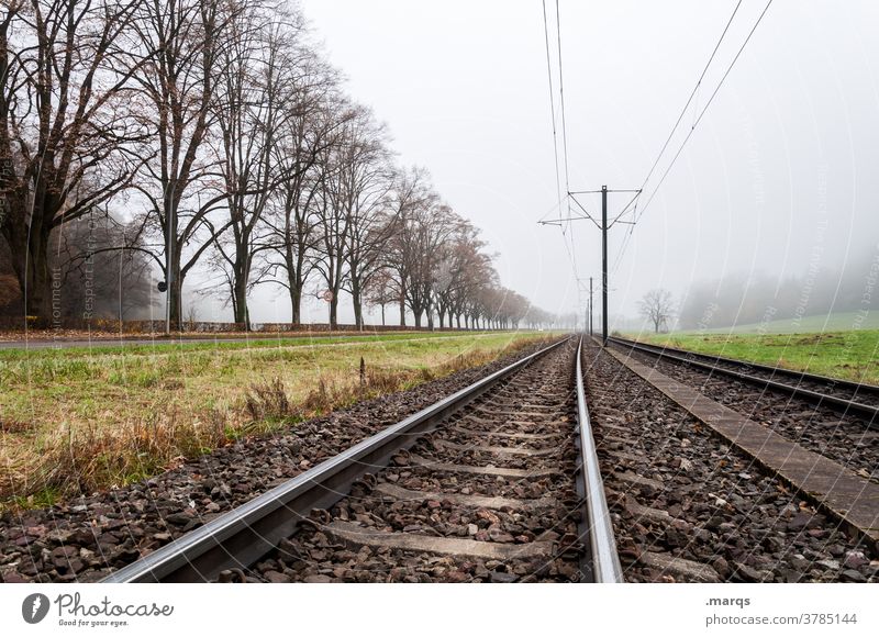 Rails in autumn landscape Rail transport rails Mobility Autumn Vanishing point Row of trees lines Fog Future Target Lanes & trails Transport Landscape