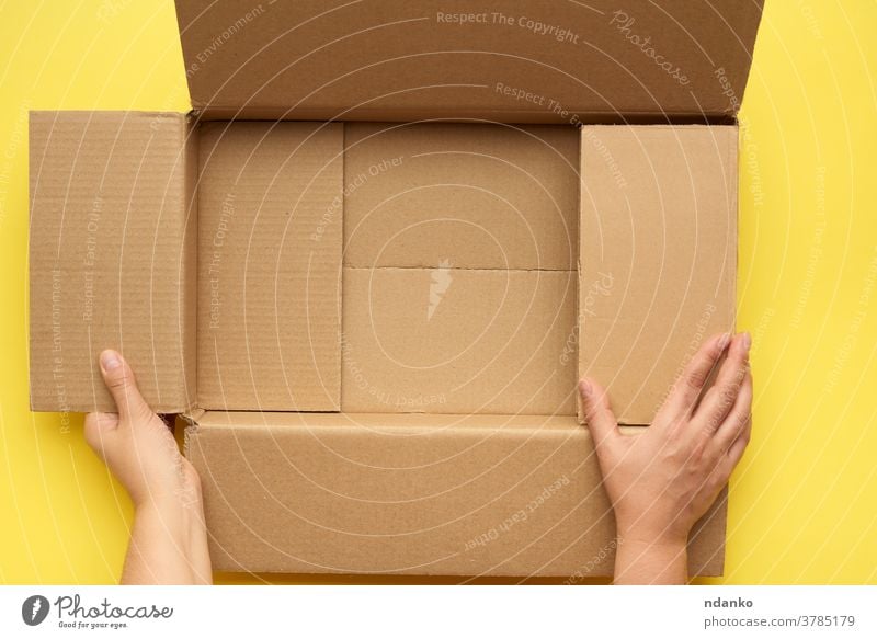 female hands are holding an empty open box of brown cardboard, top view bottom business cargo move backdrop background blank carton caucasian clean container