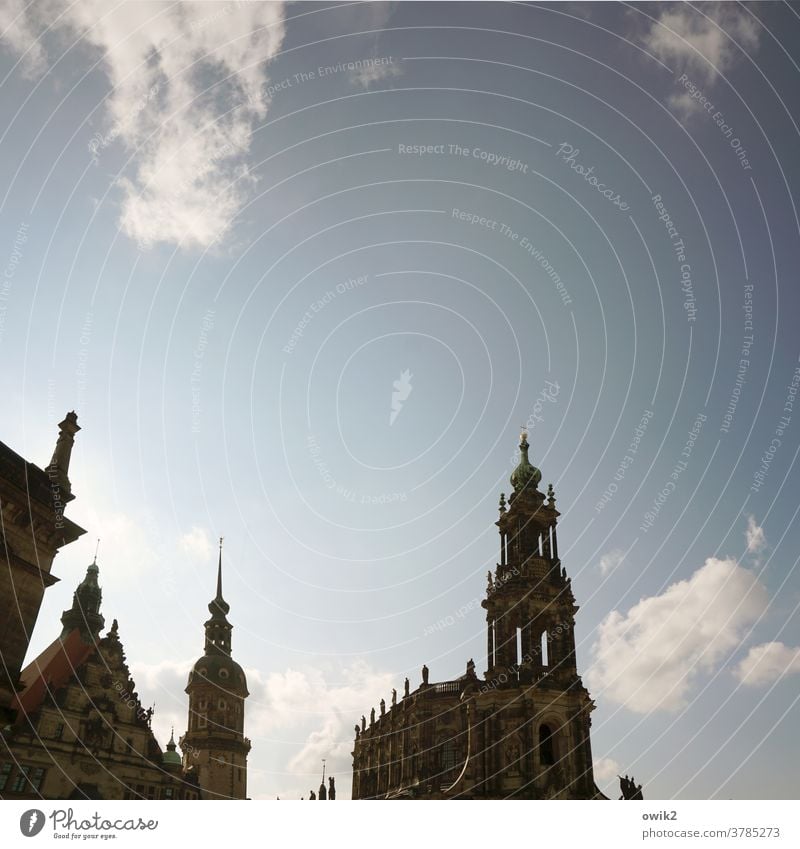 Baroque lace Dresden Downtown Church Manmade structures Building Dresden Hofkirche Tourist Attraction Landmark Monument Large Tall Religion and faith Belief