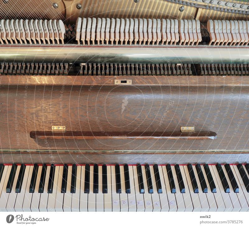 Music School Piano dusty Detail Musical instrument Keyboard instrument Dusty Close-up Subdued colour Interior shot interior view Many Leisure and hobbies