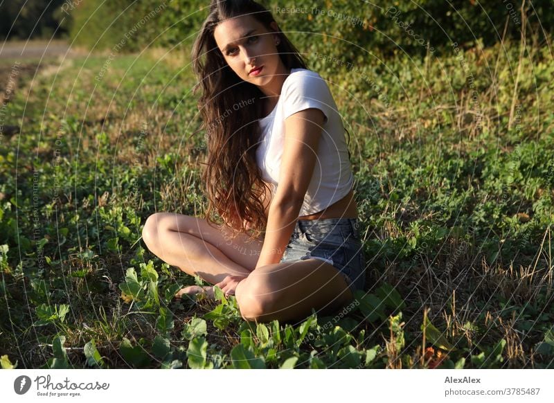 Portrait of a young woman sitting at the edge of a field in front of a forest portrait Woman pretty Near fit daintily Skin Face look Direct Long-haired Slim