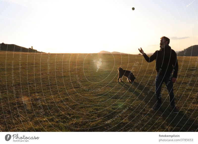 Young man playing with ball and dog on wide meadow Human being leisure activities Man Exterior shot Playing Man and dog black dog Love of animals Dog dog love
