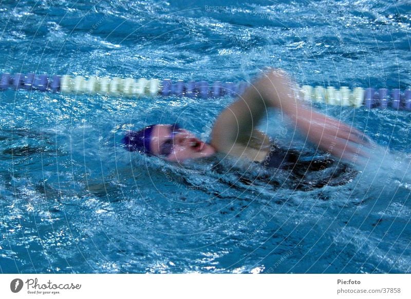 swimming Swimmer (professional sportsman) Action Sports Water Blue Movement Swimming & Bathing