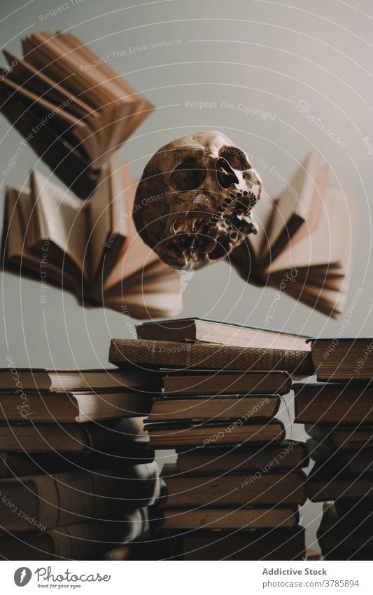 Human skull and stacked books fly levitate old spooky halloween cranium concept knowledge literature vintage antique scary ancient page mystic creepy horror
