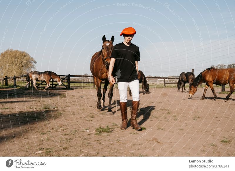 Man walking carrying horse to the stable man brown free air field grass green sky blue trees patagonia spring riding day animal three horses following