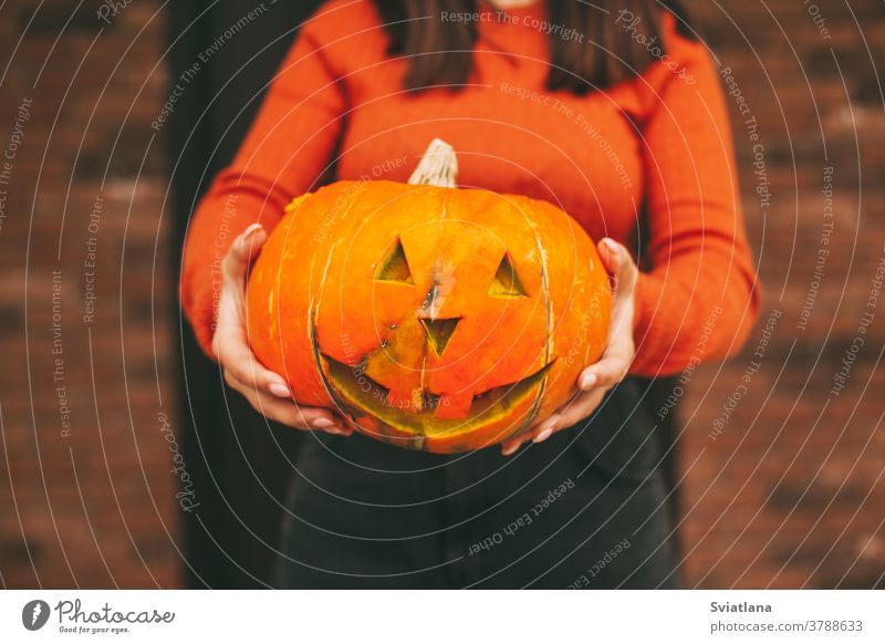 A large pumpkin in the hands of a girl for Halloween. Close-up. halloween autumn street holiday lantern make up black scare face picture october house child
