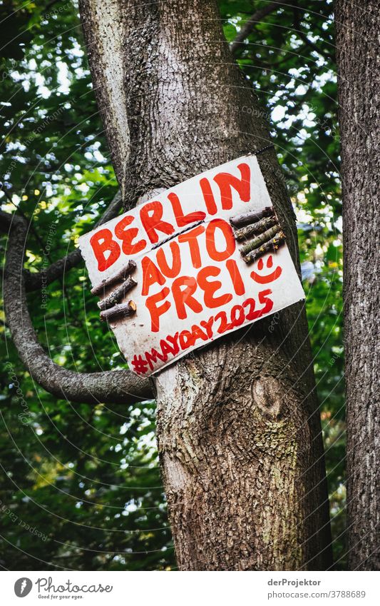A tree holds a sign with the wish for a car-free Berlin Deep depth of field Shadow Light Morning Copy Space bottom Copy Space top Deserted Structures and shapes