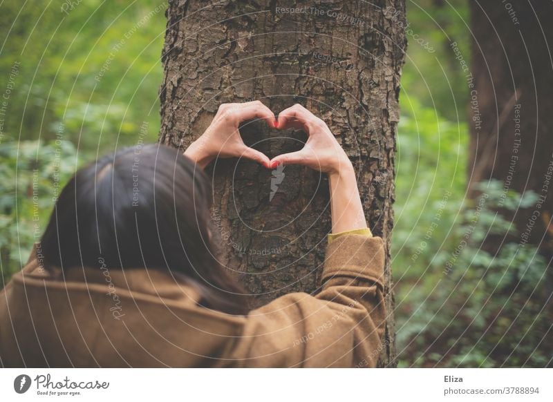 A hand forms a heart on the trunk of a tree in the forest. Nature conservation. closeness to nature Environmental protection Tree Forest Heart Love