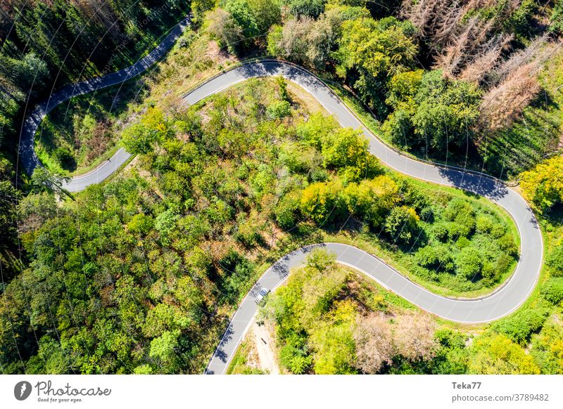 a curvy forest road from above car car from above forest from above street from above concrete summer countryside transportation sun shadow