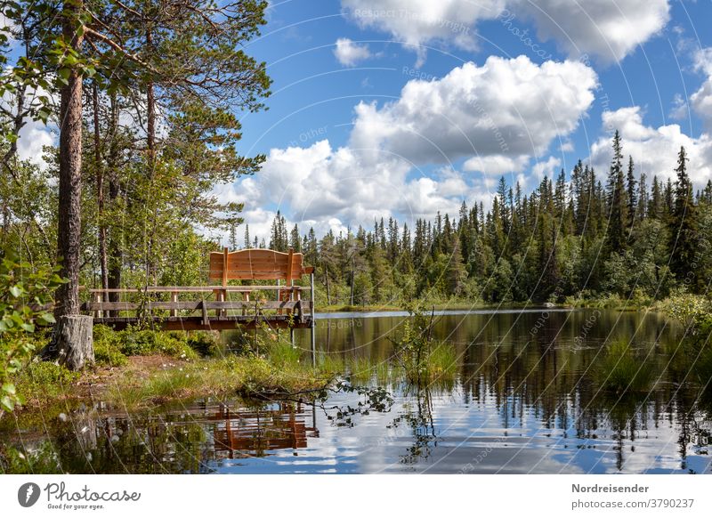 Idyllic place in Fulufjället National Park fulufjell River Lake bench Footbridge Places Resting place Vantage point Forest Wilderness reflection Water pretty