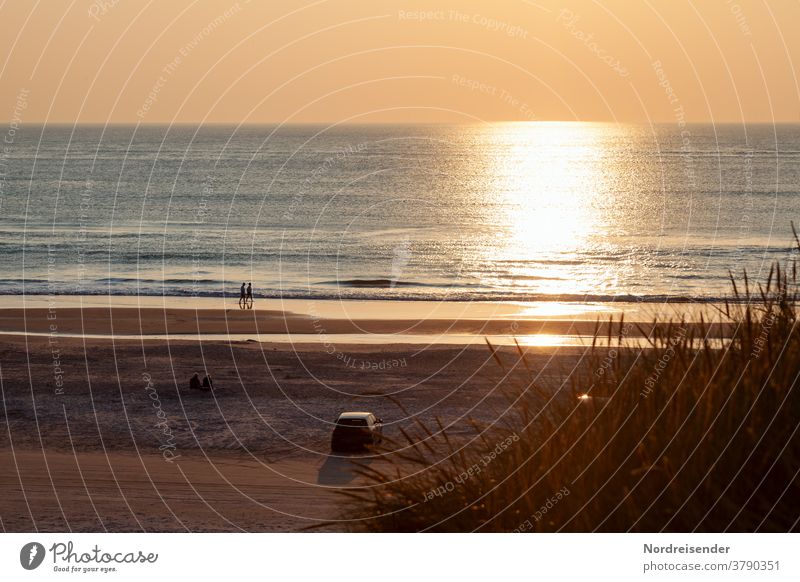 Summer evening on the beach of the North Sea in Denmark Beach Ocean Water Sun Evening People To go for a walk duene car Moody Back-light Sunset wave warm