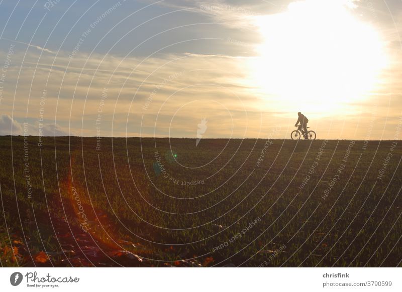 Cyclists on the horizon at dawn Wheel Driver cyclists Morning Field Twilight Street Cycle path Environment Mobility mobile