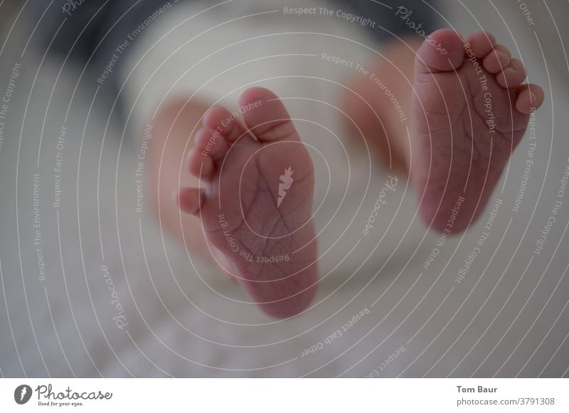 Close-up of baby's feet while the baby is lying on the changing table and stretching its little feet in the air Baby baby feet Feet up Legs Barefoot