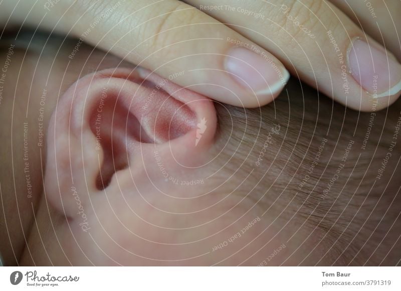 Close-up of an infant's ear, the mother holding the head protectively Ear newborn Baby mutant Hand Child Infancy Cute Small Newborn pretty Happy Healthy White