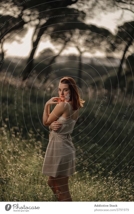 Slim woman standing in summer park dress lawn peaceful relax meadow calm sunlight female iceland serene enjoy green young tranquil field idyllic style trendy