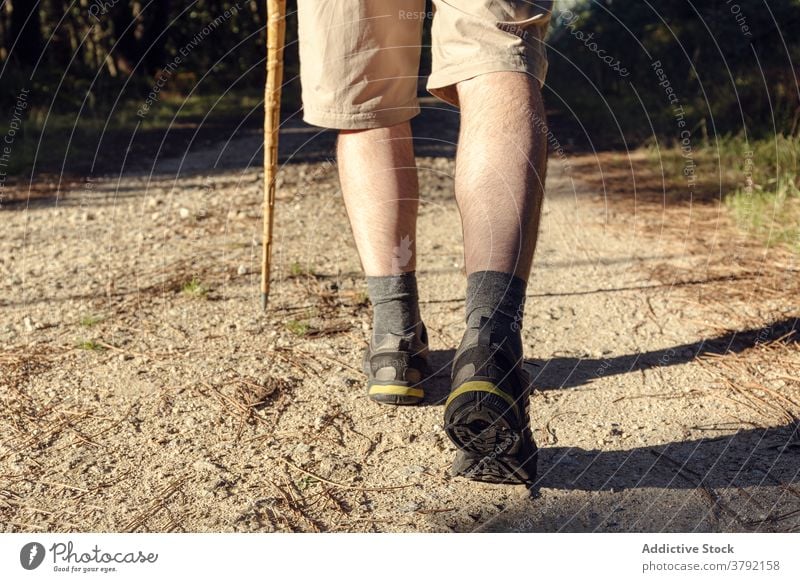 legs of tourist trekking with stick on shabby pathway man pilgrimage route travel santiago de compostela explore camino de santiago vegetate summer vacation