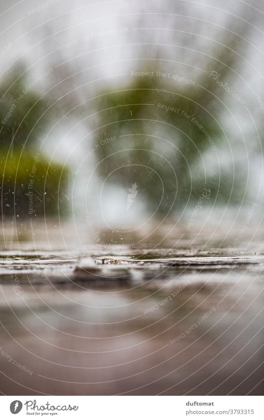 Macro shot of raindrops pattering on the ground Macro (Extreme close-up) Rain Wet Drop Water Nature Drops of water Close-up Detail Exterior shot Weather