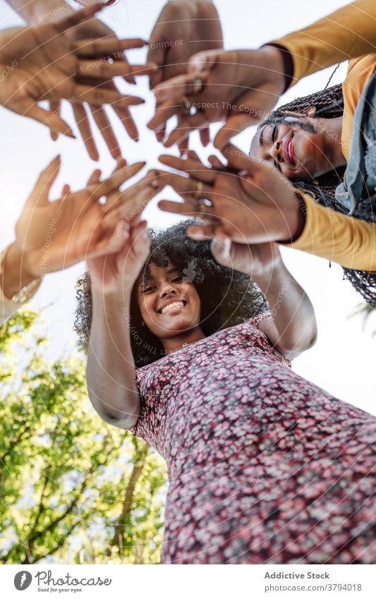 Company of diverse women stacking hands together friendship stack hands group company unity cheerful bonding multiethnic multiracial black african american team