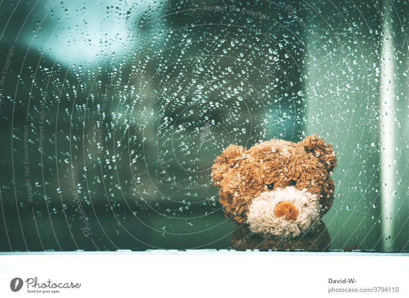 Rainy weather - Teddy bear sits at the window and waits for better weather cuddly toy Wait Window Window pane inside Sadness Autumn Wet raindrops Bad weather