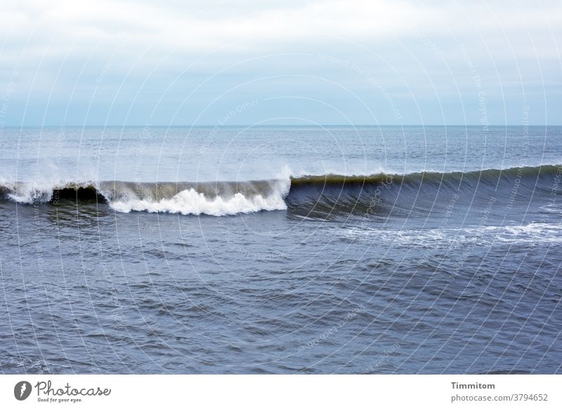 North Sea, sky and waves Sky Swell Water Ocean Waves Denmark Deserted Exterior shot Colour photo Elements Clouds Smooth White crest Blue Horizon