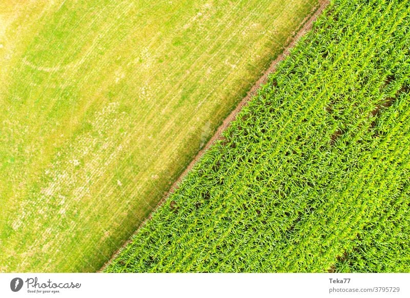 a corn field and a meadow from above farming farming ground green grass nature sunny