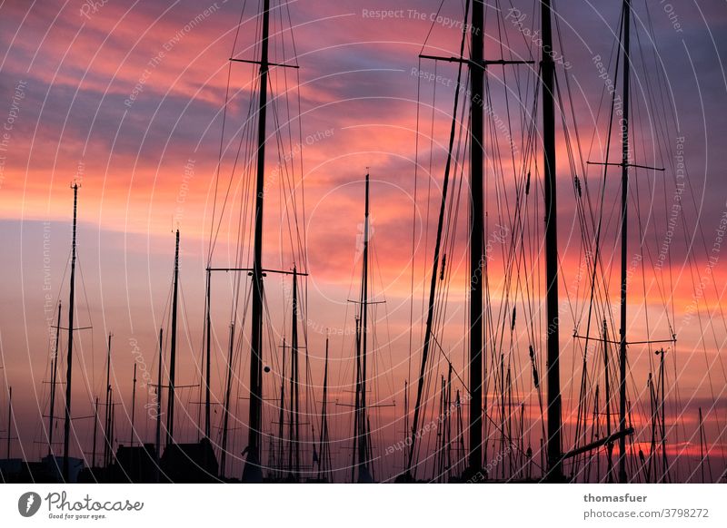 Sailing boats, masts, in front of red clouds in the harbour Harbour marina Watercraft Rigging sailboats Sky Navigation Vacation & Travel Ocean Pole Clouds