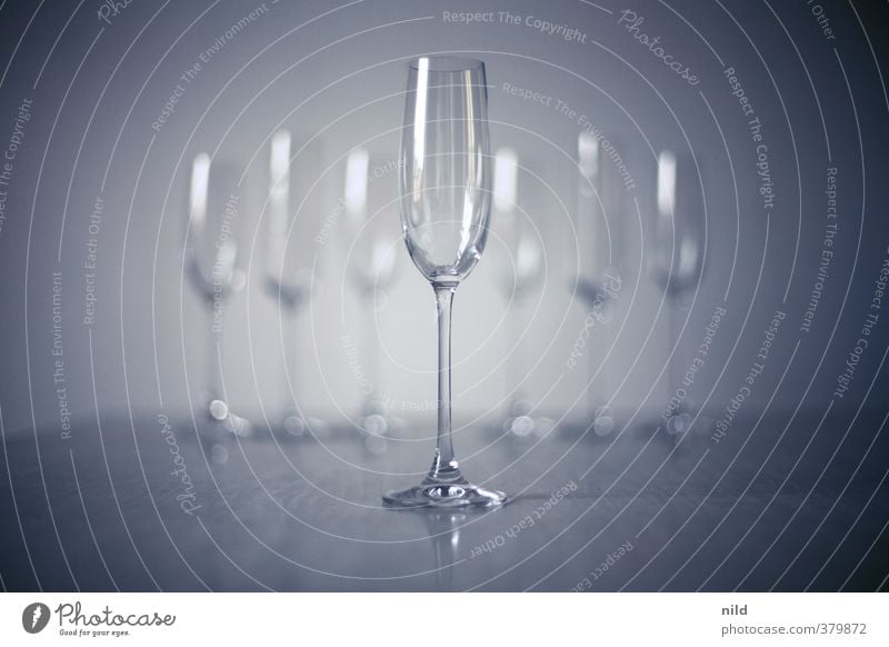 champagne reception Alcoholic drinks Sparkling wine Prosecco Champagne Champagne glass Elegant Style Design Event Feasts & Celebrations Glass Cold Blue Gray 7