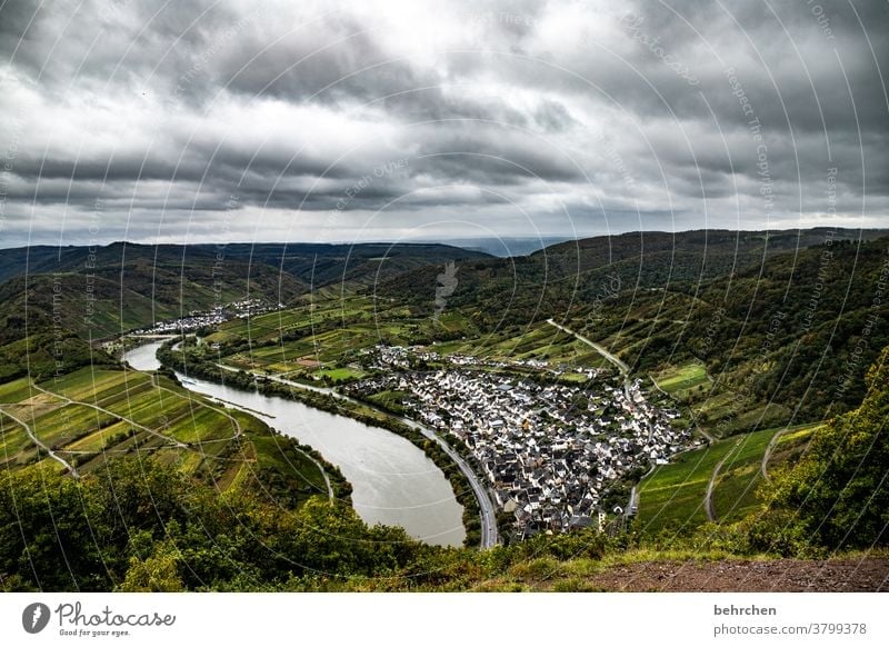 Wine Hiking Lanes & trails Hunsrück Moselle valley Wine growing Rhineland-Palatinate Mosel (wine-growing area) vine Vineyard Bunch of grapes Landscape Mountain