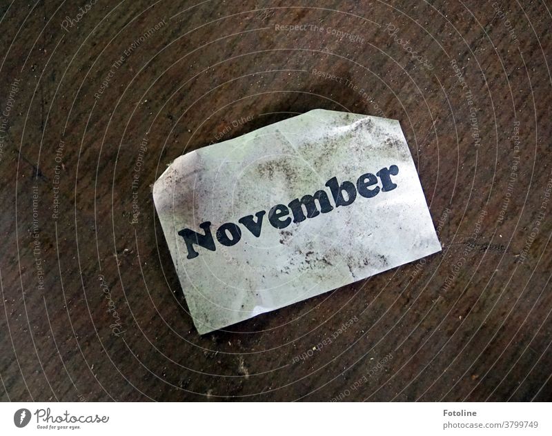Hello November - or there is a note on the floor with the words November Month Piece of paper Leaf writing Letters (alphabet) Characters Word Text Deserted