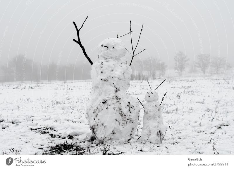 creepy snowmen from dirty snow on the background of trees and fog a snowman branches couple of snowmen dirty snowman figures hard snowman nature snow figure
