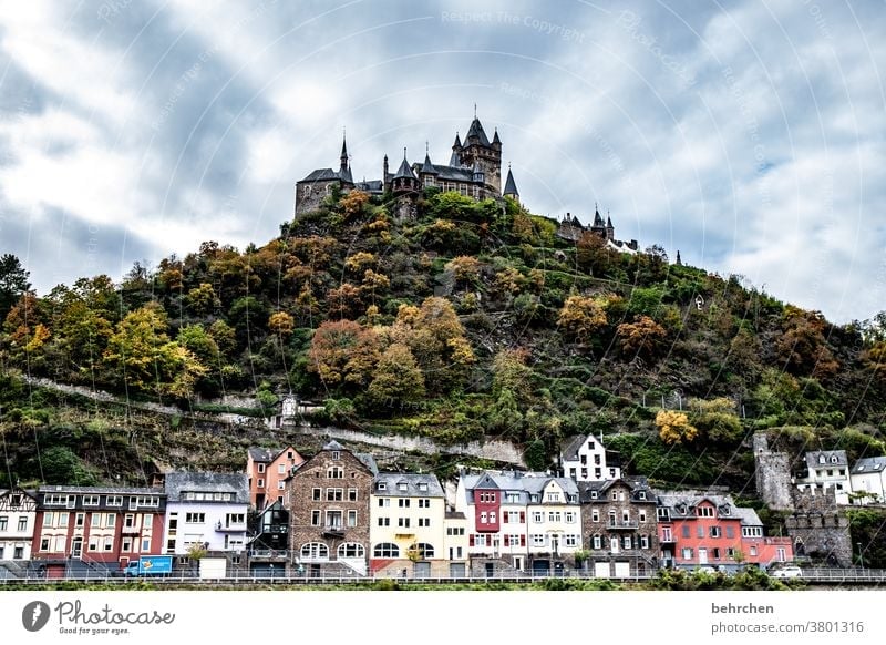 Wine Landmark variegated Facade houses Castle Tourist Attraction Cochem reichsburg Town Forest Vacation & Travel Nature Exterior shot Environment Clouds Sky