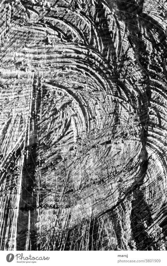 Wood structures in black and white Texture of wood Wood grain naturally Broken rutted Authentic Abstract Annual ring cutting marks saw cut Pattern