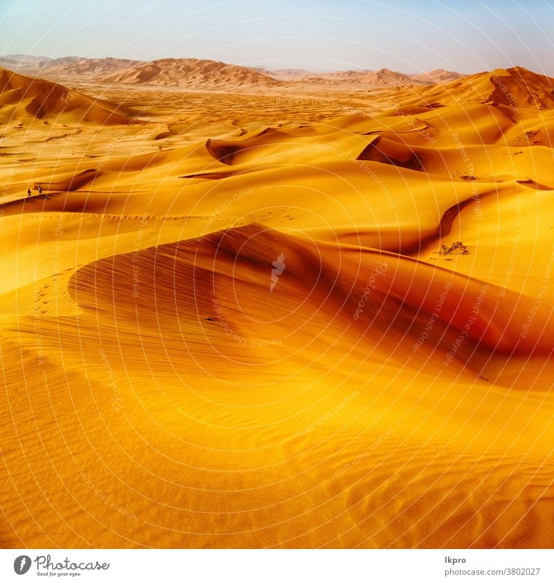 in oman old desert  rub al khali the empty  quarter and outdoor  sand dune yellow golden rock empty quarter adventure africa asia arabic arid background