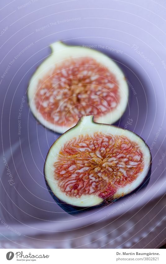 Figs, in purple ceramic bowl Fruit FrÃ¼chte fruit Violet Pottery halved Sliced Fruit flesh Sámen