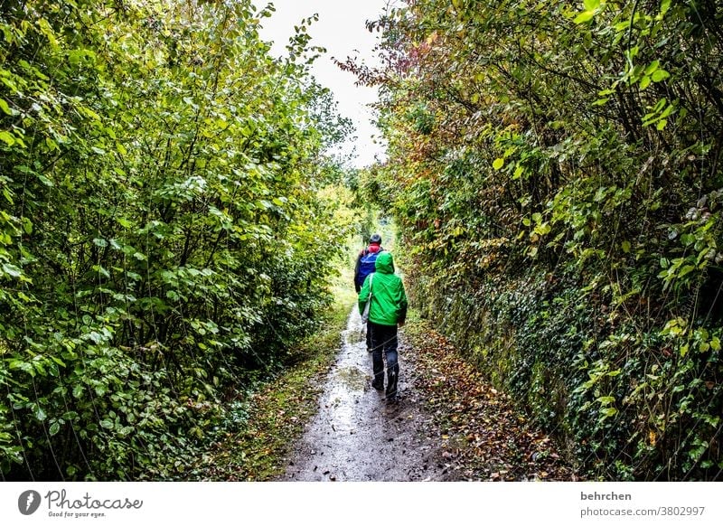 Wine Hiking Lanes & trails Hunsrück Moselle valley Wine growing Rhineland-Palatinate Mosel (wine-growing area) vine Vineyard Bunch of grapes Landscape Mountain