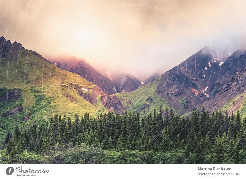 Thunderstrom With Lightning In The Denali National Park Alaska A Royalty Free Stock Photo From Photocase