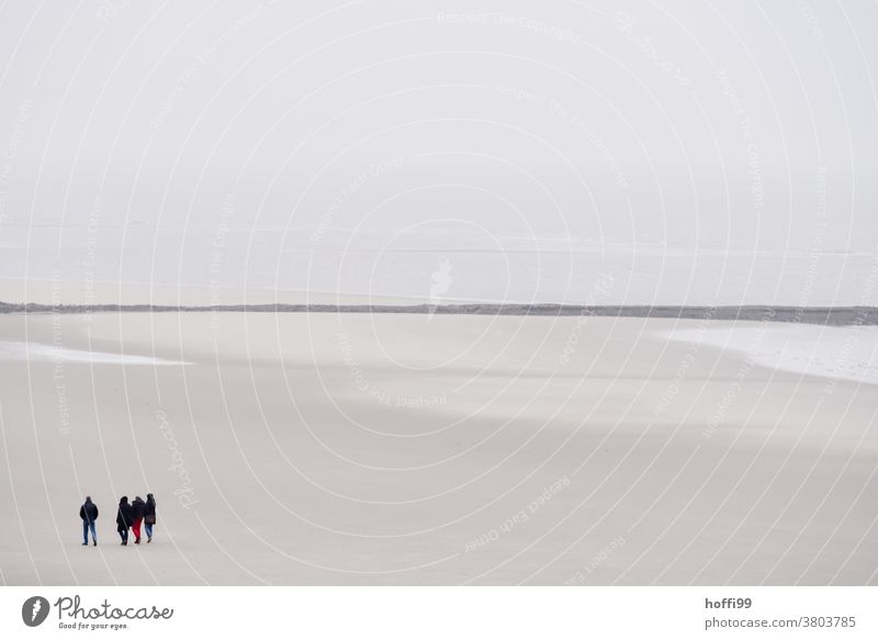 People at low tide on the beach Group Walk along the tideland Mud flats Winter Autumn Human being Crowd of people North Sea Movement Dry Exceptional Bright