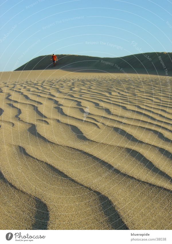 sand dunes pattern Pattern Grainy Waves Sand Beach dune Desert Structures and shapes Sky Blue grain of sand
