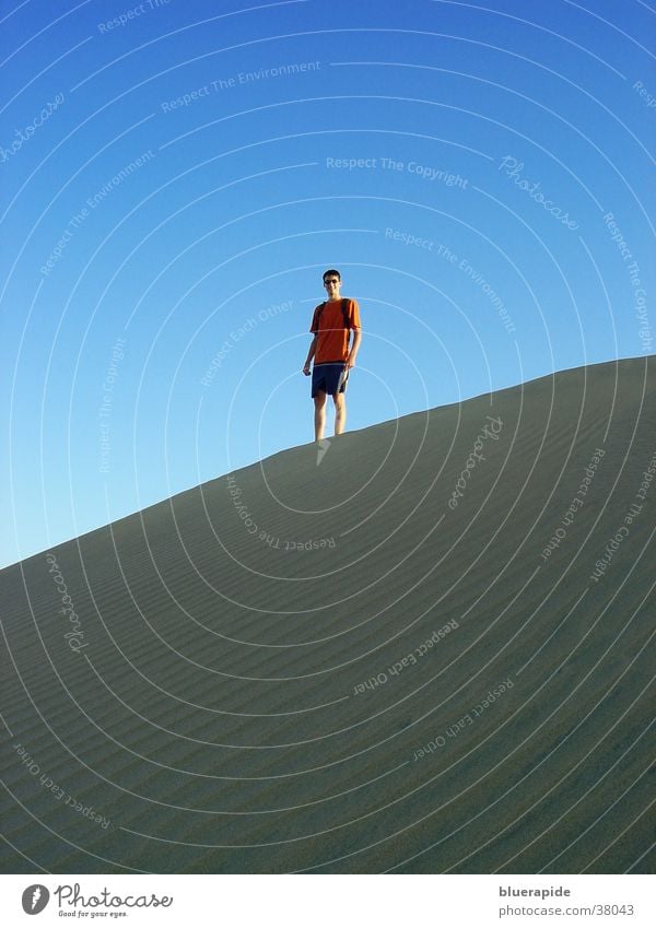 Standing on the dune Small Man Sky Blue Sand Beach dune Desert Human being Above Looking Vantage point