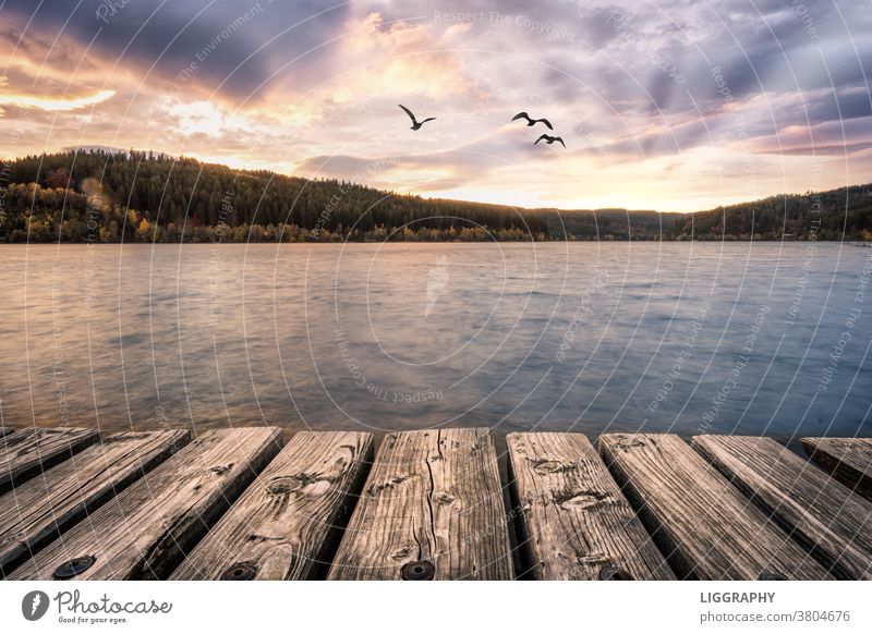 The Soboth reservoir in the border triangle of Carinthia, Slovenia and Styria Soboth Reservoir Lake Landscape Exterior shot Nature Colour photo Lakeside