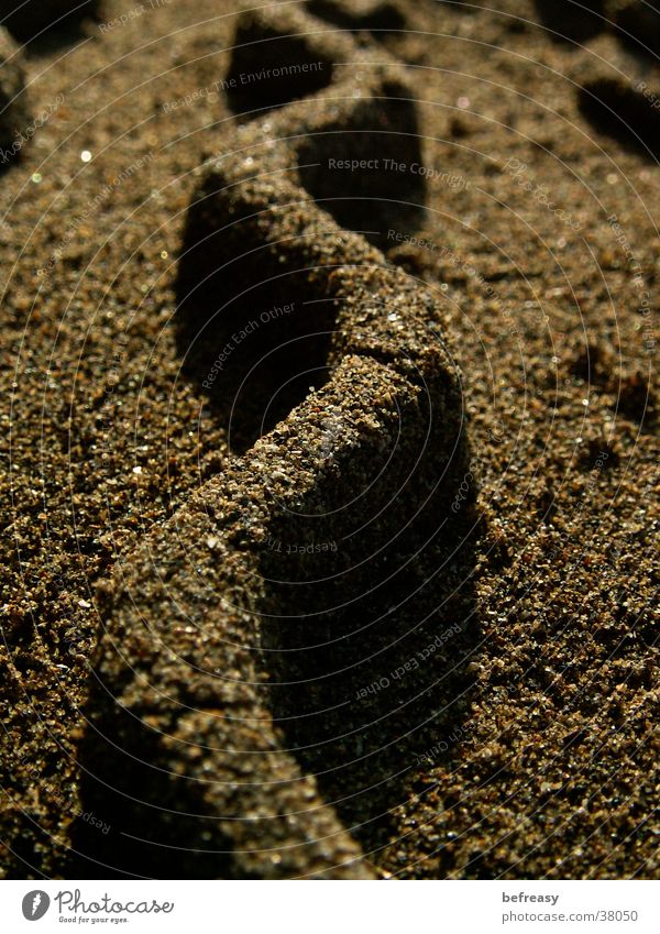 sand wave Brown Grain of sand Skid marks Waves Zigzag Macro (Extreme close-up) Close-up Sand sand wall sand pattern